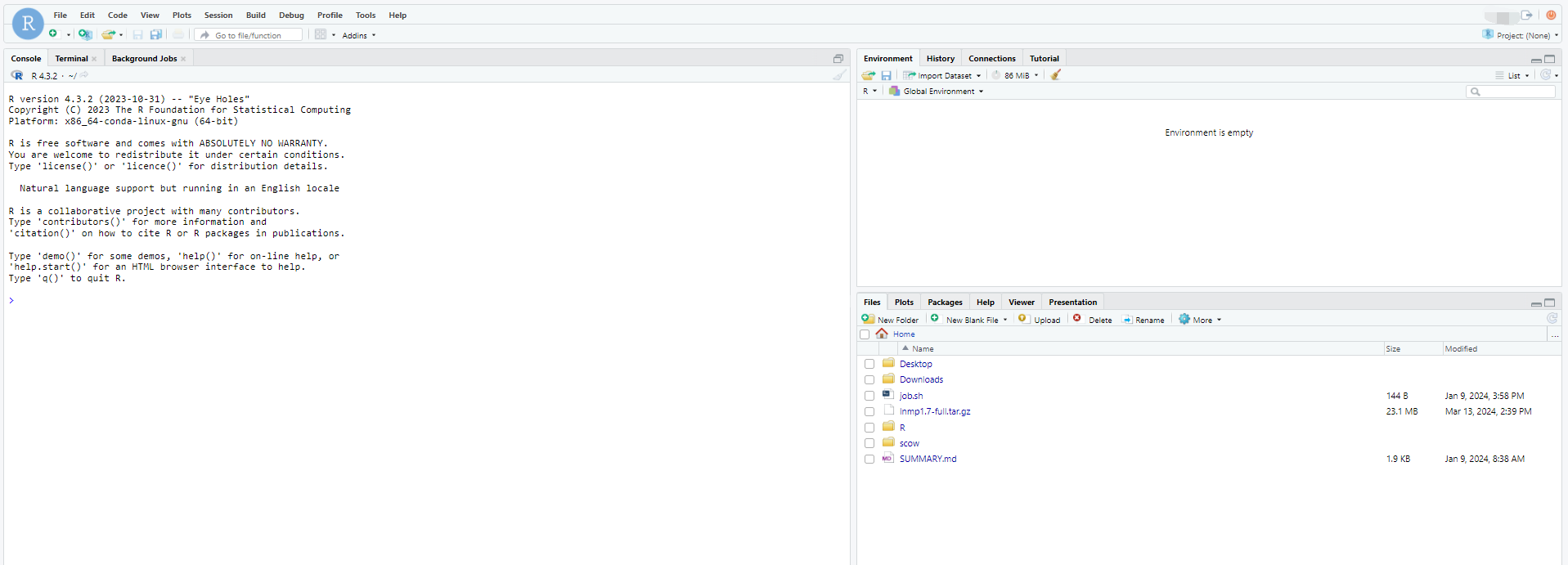 ../../_images/rstudio4.png
